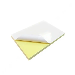 Giấy decal AMAZON A4 đề can | chiết khấu tới 20%