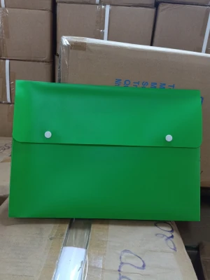 Bìa 2 nút Mylac ( Cặp 1 ngăn)