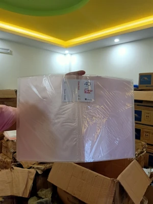 Bìa file nhựa A4- 80 lá, trong, dày