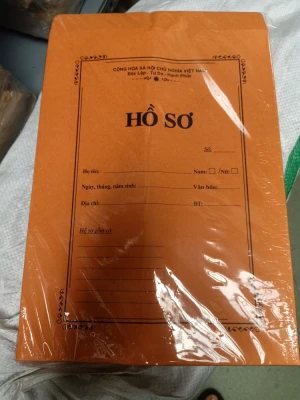 Bìa hồ sơ - Vàng