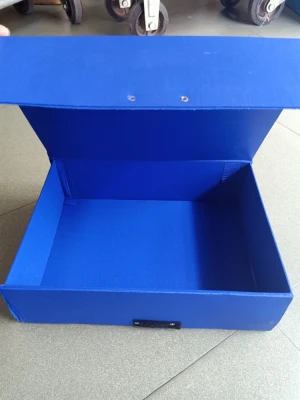 Bìa hộp Si ABBA 20cm - Si rạng đông, si trơn