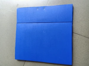 Bìa hộp Si ABBA 7cm - Si rạng đông, si trơn