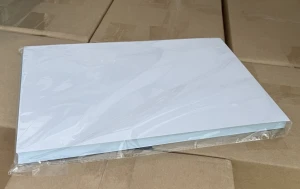 Giấy decal A4 đế xanh