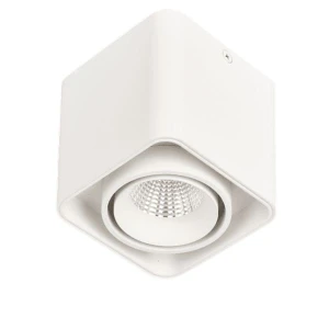 Đèn led gắn nổi 10W chip led USA, trắng - vàng, D105xH100mm HP-LN27