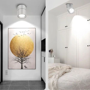 Đèn led gắn nổi 12W góc xoay 90 độ, ánh sáng đơn D100xH105mm EC-LN71