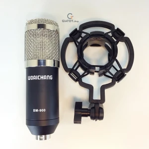 Mic Thu Âm BM-900