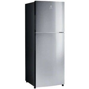 Tủ lạnh Electrolux ETB2802J-A Inverter 256L