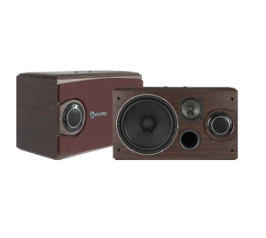 Loa karaoke Arirang Jant IV