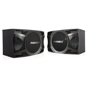 Loa Karaoke Bass 25 PARAMAX P-1000