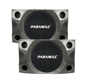 Loa karaoke Paramax P900