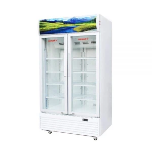 Tủ mát Sanaky DAVH-1209HP