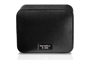 Loa Bluetooth di động Soundmax R300 5W