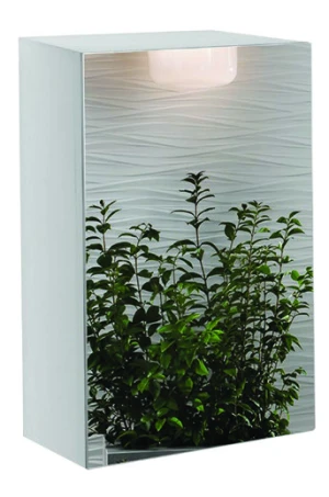 Tủ Gương Roland GH10