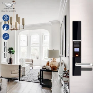 KHÓA VÂN TAY DESSMANN S710FP