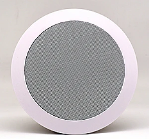 LOA ĐIỆN TỬ AODSN A12-LB01