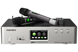 Amply Paramax Z-A450 500W Z-A450