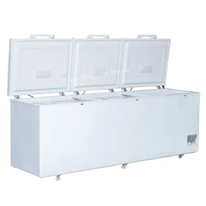 Tủ đông Sanden SNQ-0805 1100 lít