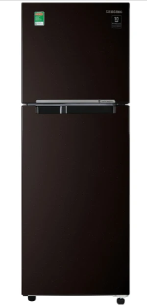 Tủ lạnh Samsung RT22M4032BY/SV Inverter 236 lít