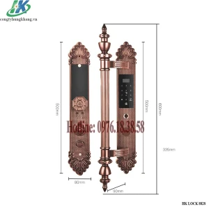 Khóa thông minh lắp cho cửa biệt thự HK LOCK 8828