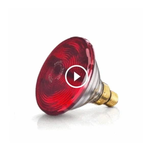 Bóng đèn hồng ngoại Philips 150W