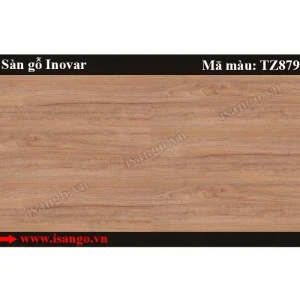Sàn gỗ Inovar TZ879