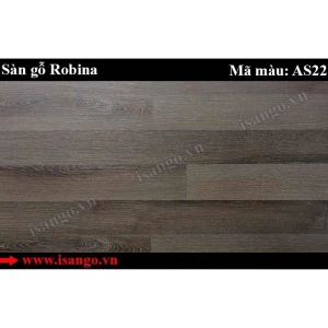 Sàn gỗ Robina AS22