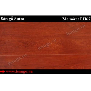 Sàn gỗ Sutra LH67 8mm bản nhỡ