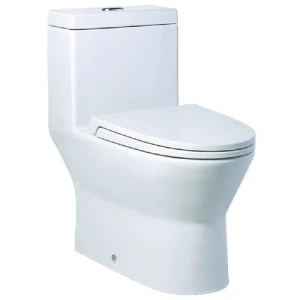 Bồn cầu Caesar C1374 (CD1374) - Xí bệt bàn cầu vệ sinh 1 khối