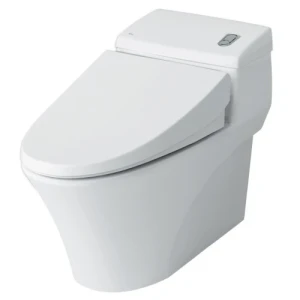 Bồn cầu Inax AC-1008VRN (AC1008VRN) - Xí bệt bàn cầu vệ sinh 1 khối - Tuấn Đức