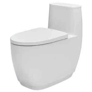 Bồn cầu Inax AC-1052VN (AC1052VN)- Xí bệt bàn cầu vệ sinh 1 khối