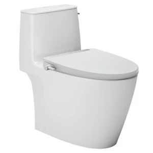 Bồn cầu Inax AC-912/CW-S32VN - Xí bệt bàn cầu nắp rửa cơ