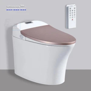 Bồn cầu vệ sinh Viglacera V-Smart V93GW