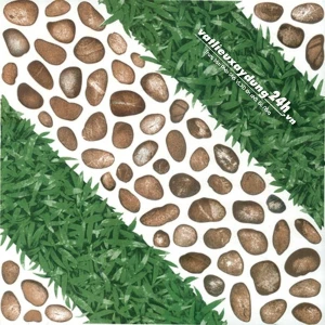 Gạch lát nền sân vườn Viglacera SV402