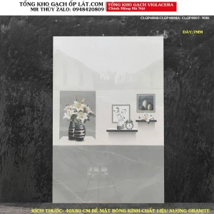Bộ gạch ốp tường Viglacera 40x80 CLGP4808-CLGP4808A-CLGP4807
