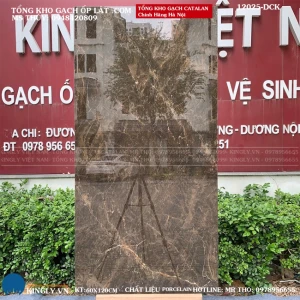 Gạch Catalan 60x120 12025 Loại 1