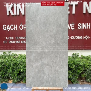 Gạch giả bê tông catalan 60x120 12043 Loại 1