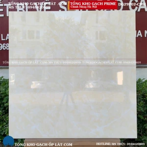 Gạch Lát nền Prime 600x600 DG29P02 Loại A1