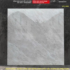 Gạch lát nền Prime 80x80 8030020 Loại 1
