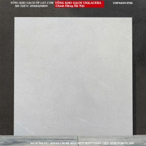 Gạch lát nền Vân xi măng Viglacera 60x60 VHP6609 Loại A1