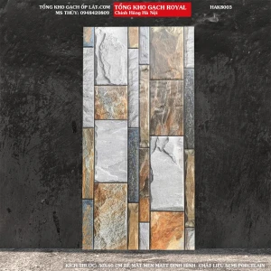 Gạch ốp tường ngoại thất ngoài trời giả đá tự nhiên ROYAL 30X60 HA8003