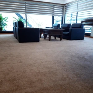 Thảm cuộn sợi cắt dày 10mm HC-G10