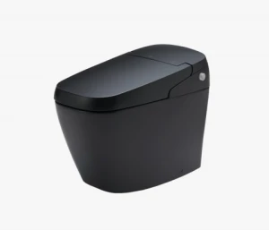 BÀN CẦU CẢM ỨNG INAX AC-G216VN/BKG