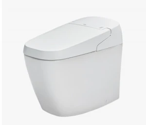 BÀN CẦU CẢM ỨNG INAX AC-G216VN/BW1