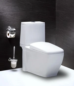 BÀN CẦU HAI KHỐI CAESAR CD-1346