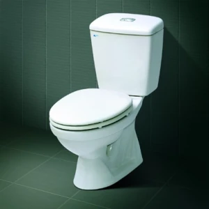 BÀN CẦU HAI KHỐI INAX C-108VA