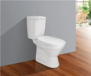 BÀN CẦU HAI KHỐI VIGLACERA VI66