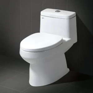 BÀN CẦU MỘT KHỐI INAX AC-939VN