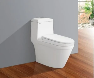 BÀN CẦU MỘT KHỐI VIGLACERA V35 ( MEN NANO NUNG, DIỆT KHUẨN)