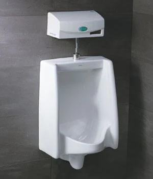 TIỂU NAM CAESAR U0230