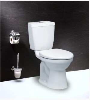 Bồn cầu Caesar CTS1325, thùng T1125, 1 nhấn, nắp êm